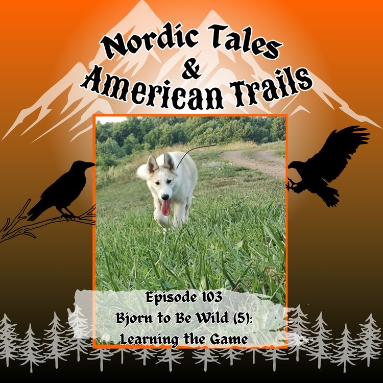 cover art for Episode 103 – Bjorn to Be Wild (5): Learning the Game