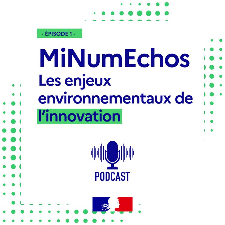 cover art for Les enjeux environnement de l'innovation