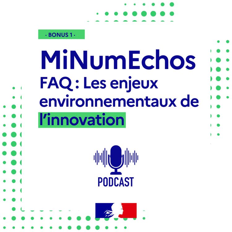 cover art for FAQ : Les enjeux environnementaux de l'innovation