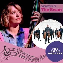 cover art for Orchestra of the Swan