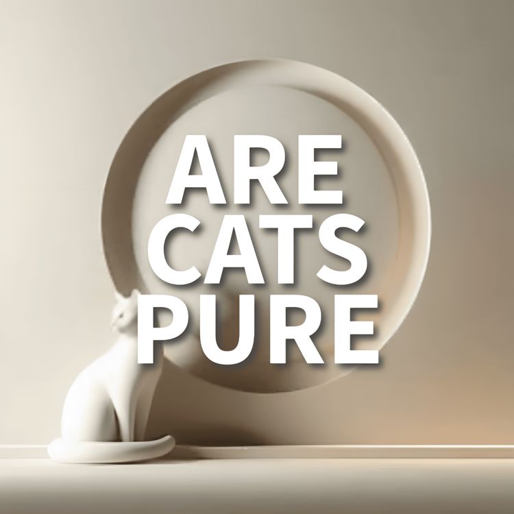 cover art for Are cats pure? | Mufti Menk Podcast