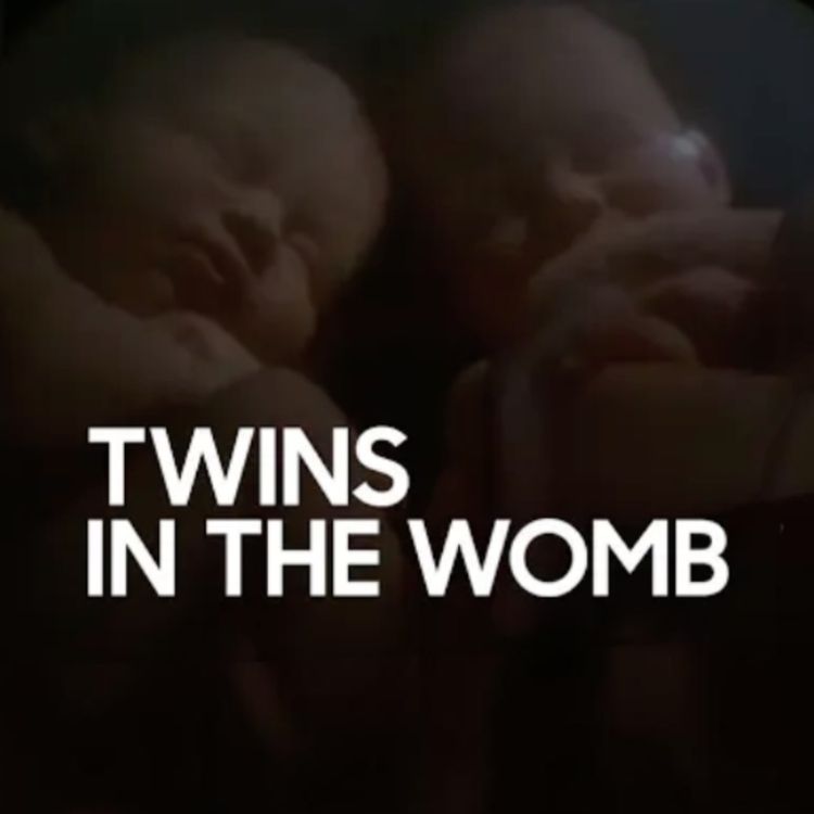 cover art for Twins in the Womb | Mufti Menk Podcast