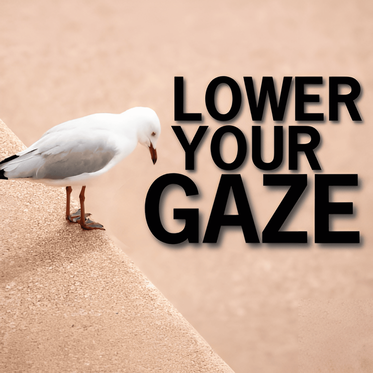 cover art for Lower Your Gaze | Mufti Menk Podcast