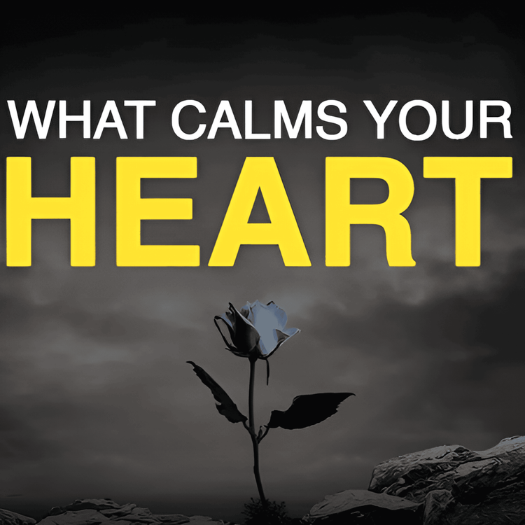 cover art for This Will Calm Your Heart | Mufti Menk Podcast