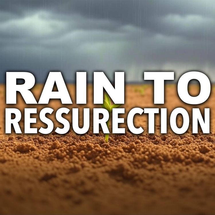 cover art for Comparing Rain to Resurrection | Mufti Menk Podcast