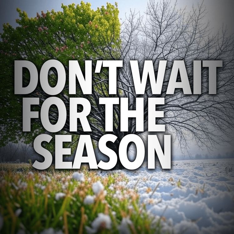 cover art for Don't wait for the Season | Mufti Menk Podcast