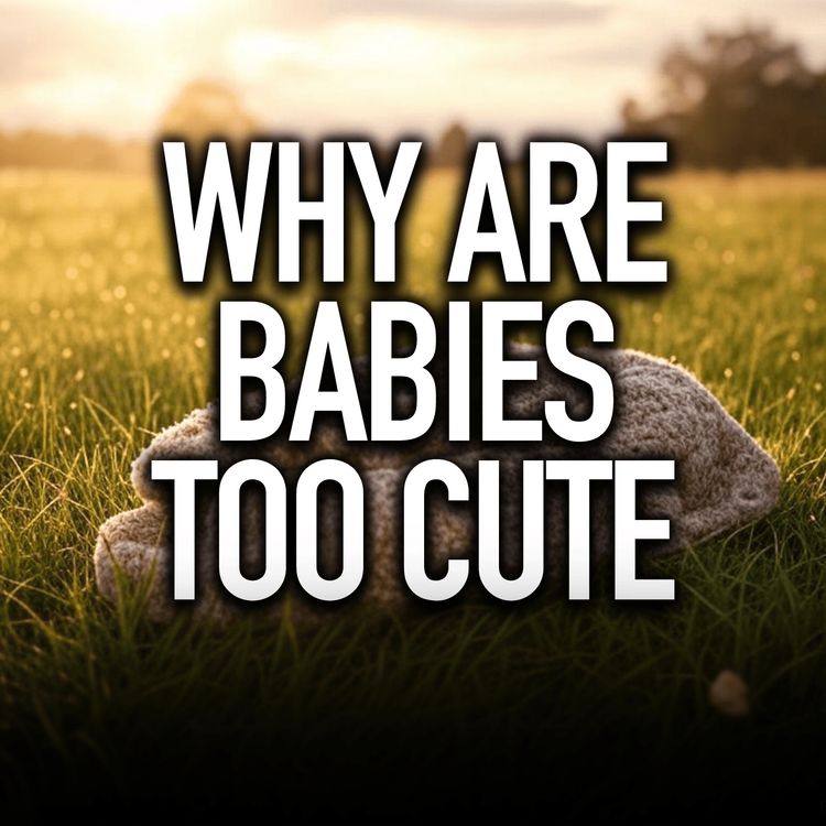 cover art for Why are babies soo cute | Mufti Menk Podcast