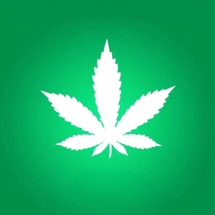 cover art for The Weed Controversy | Mufti Menk Podcast