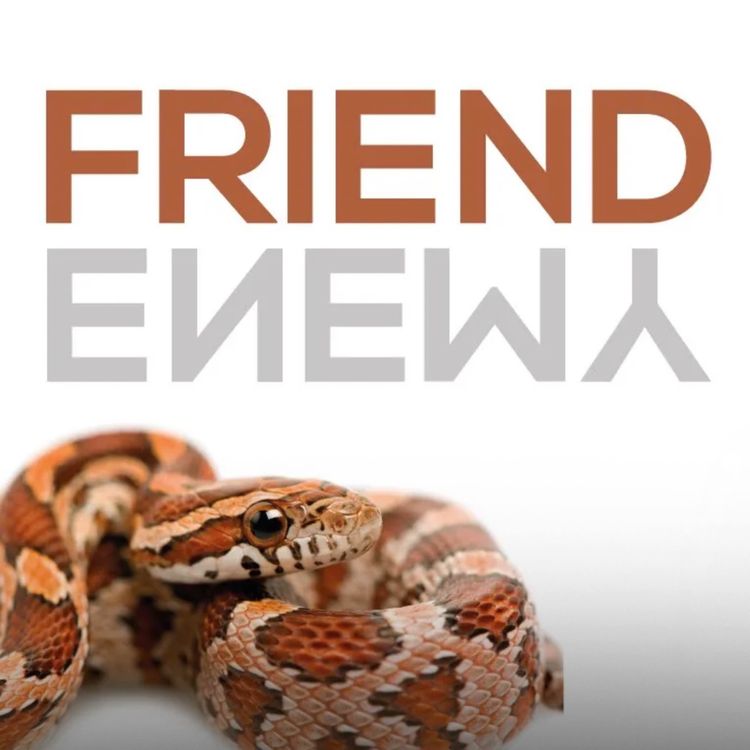 cover art for Your Friends | Mufti Menk Podcast