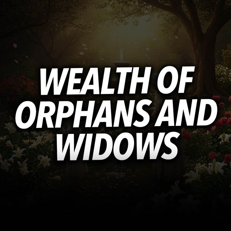 cover art for The Wealth of Orphans and Widows | Mufti Menk Podcast