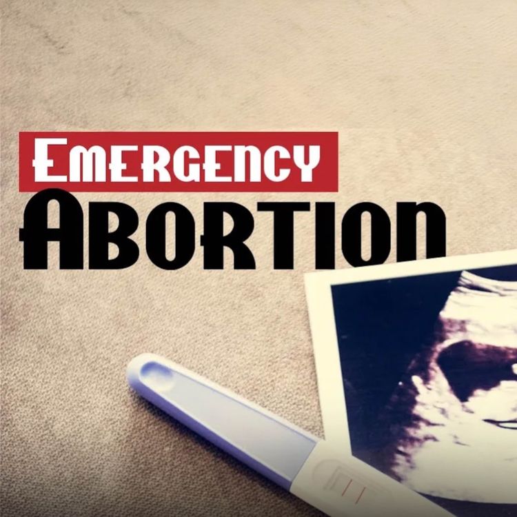 cover art for Terminating a Pregnancy in an Emergency | Mufti Menk Podcast