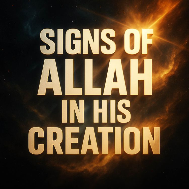 cover art for Lecture - Signs of Allah in His Creation | Mufti Menk Podcast