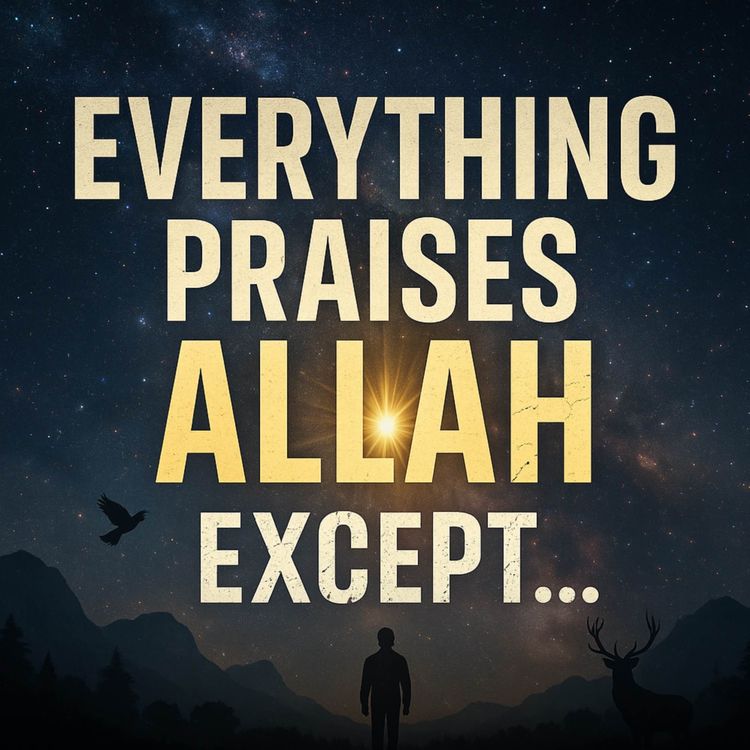 cover art for Everything Praises Allah Except You! | Mufti Menk