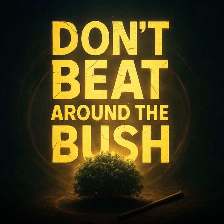 cover art for Don’t Beat Around the Bush | Mufti Menk