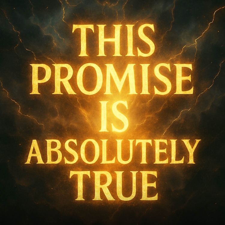 cover art for This Promise Is Absolutely True | Mufti Menk