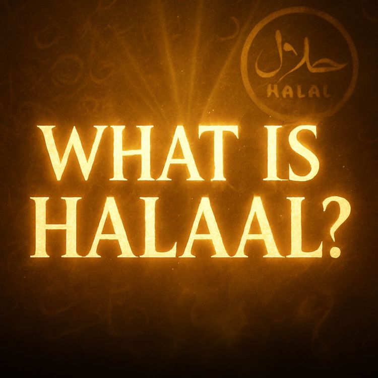 cover art for What Is Halaal? (Very Simple Explanation) | Mufti Menk