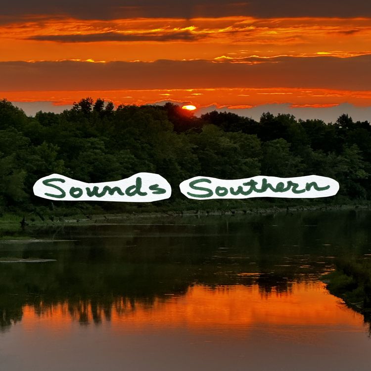 cover art for Songbirds in the Prairie Meadow