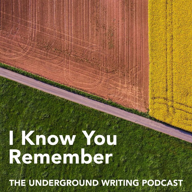 cover art for I Know You Remember