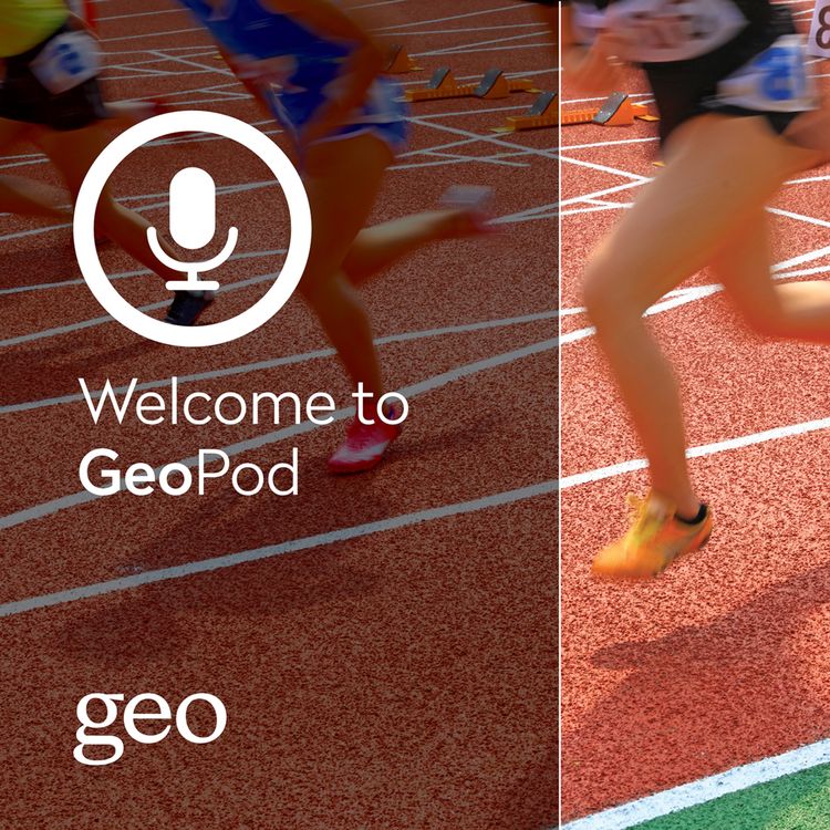 cover art for The role of Insurance in Sports Construction