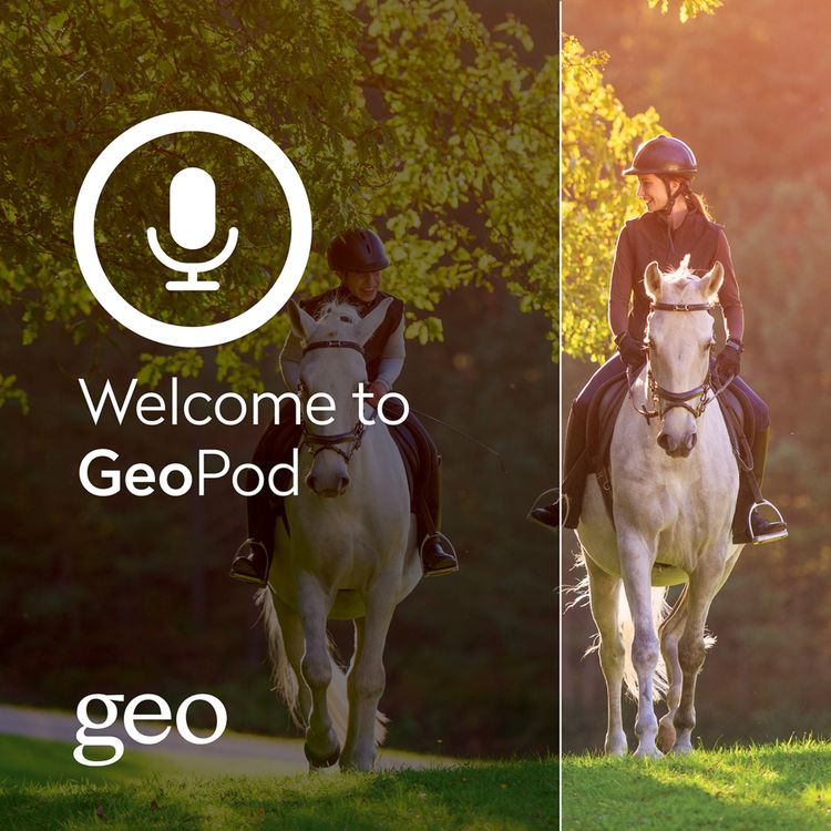 cover art for The role of Insurance in Rural Sports and Equine 