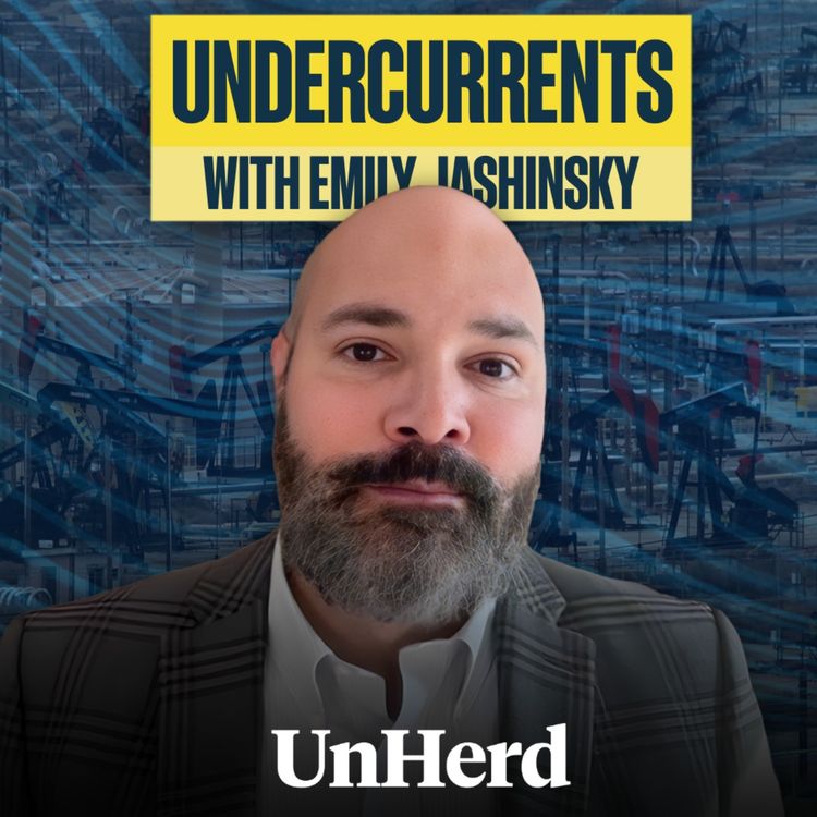 cover art for Daniel Turner: America's green agenda is unsustainable