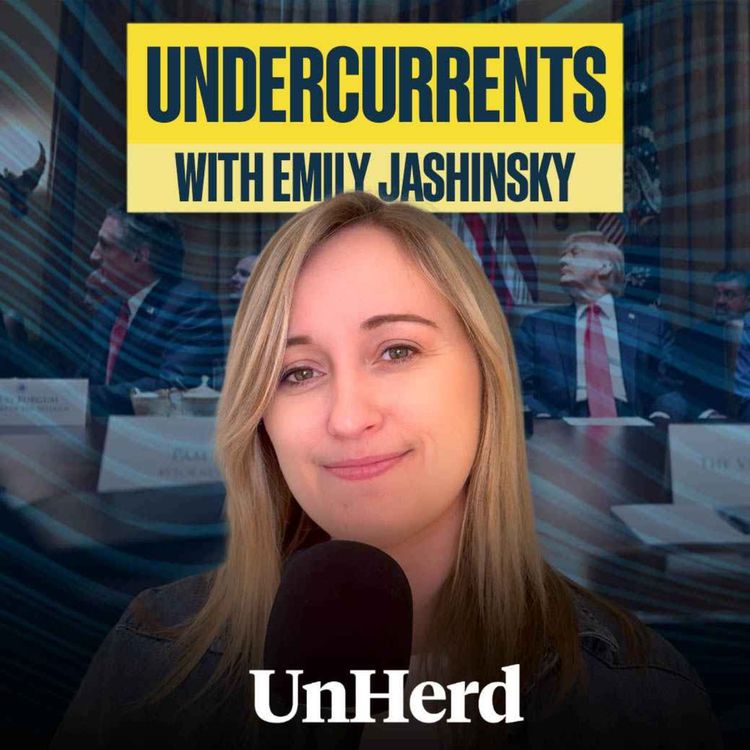 cover art for Elon Musk admits huge DOGE mistake at Trump cabinet meeting