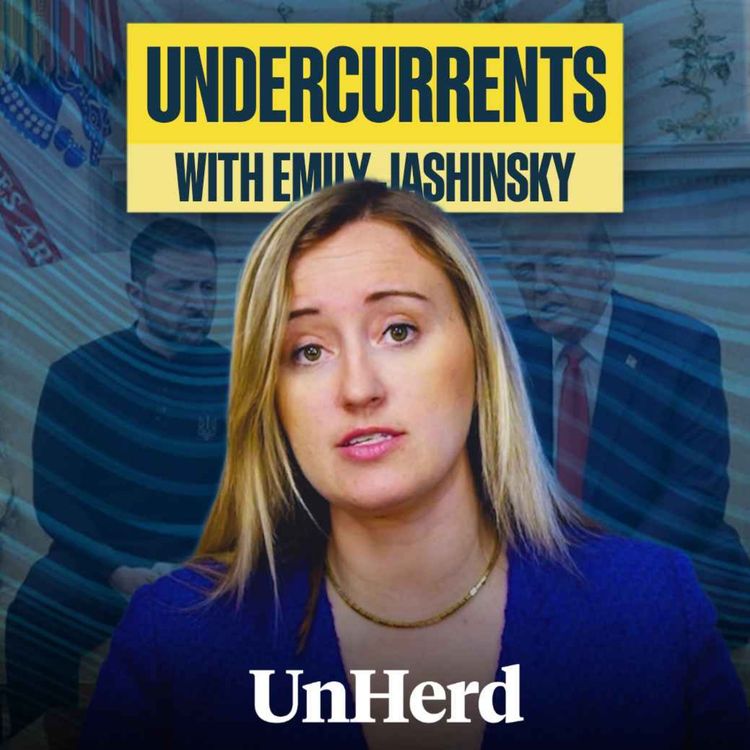 cover art for Why Americans are furious with Zelensky