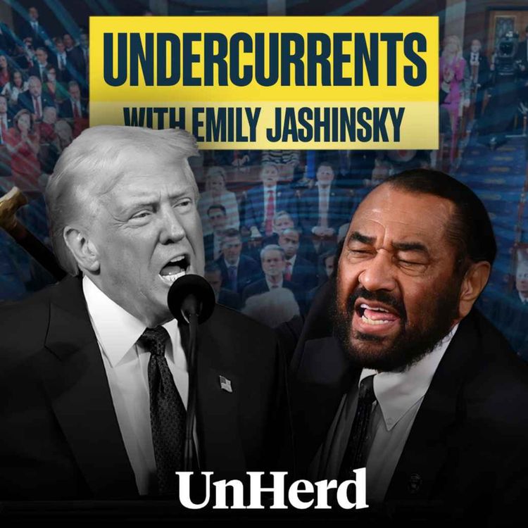 cover art for Democrats take Trump’s bait at address to Congress