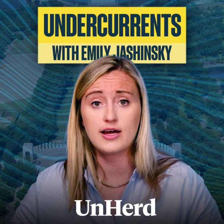 cover art for Democrats call ex-disinformation chief to testify on censorship