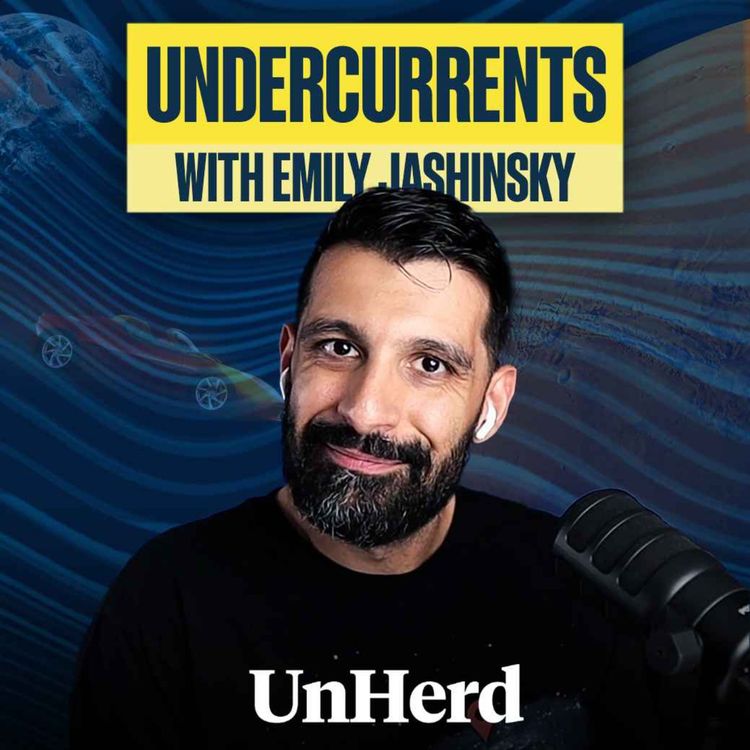 cover art for Farzad Mesbahi: The doomerists are wrong about Elon Musk