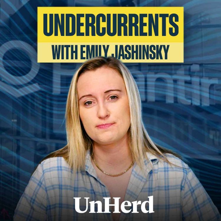 cover art for Is Palantir Creating a Surveillance State?