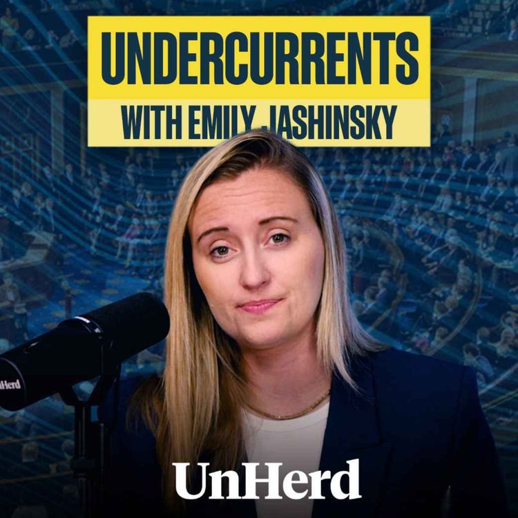 cover art for Hakeem Jeffries RIPPED as Dems blow major 'BBB' opportunity