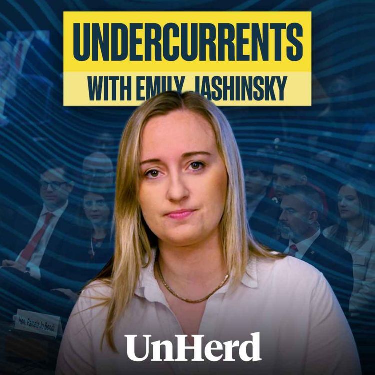 cover art for Democrat senator CALLED OUT over Epstein hypocrisy