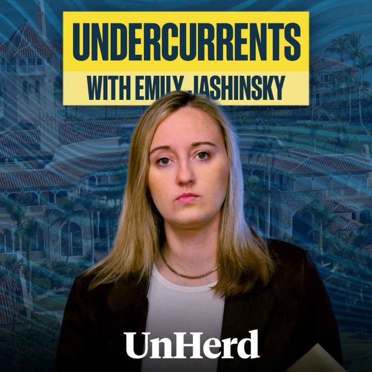 cover art for What Congress just revealed about Epstein's network