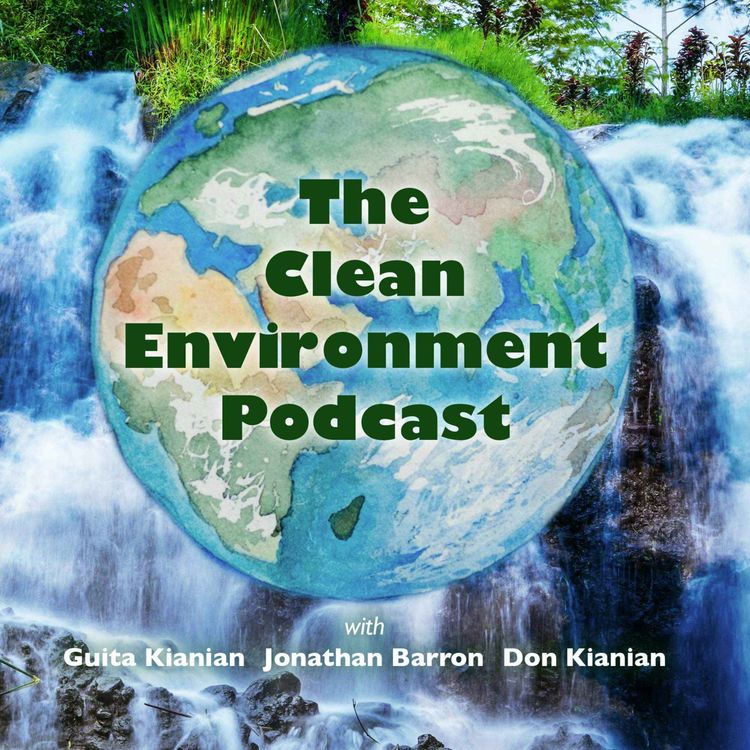 cover art for Episode 3: Wildfires - The Clean Environment Podcast