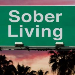 cover art for Sober adventures 