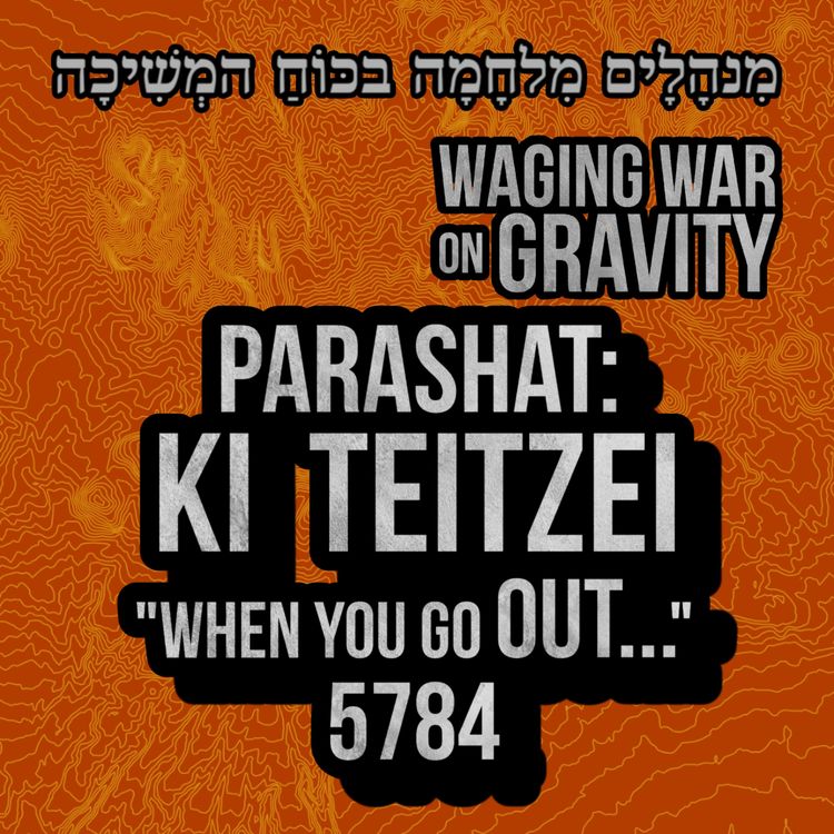 cover art for Ki Teitzei - When you GO OUT...