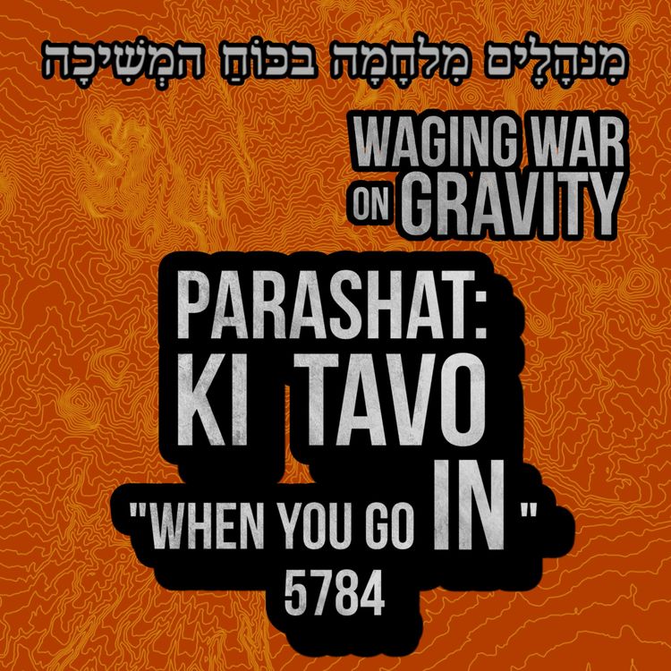 cover art for Ki Tavo - When you GO IN...