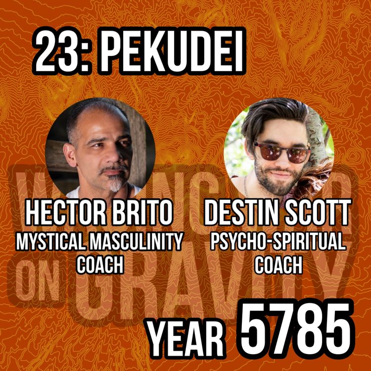 cover art for Pekudei: 5785