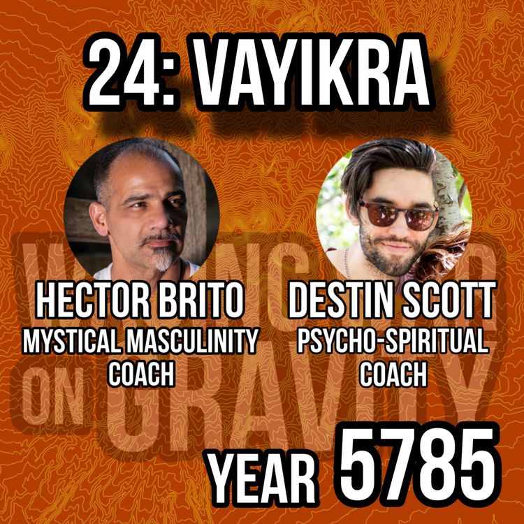 cover art for Vayikra: 5785