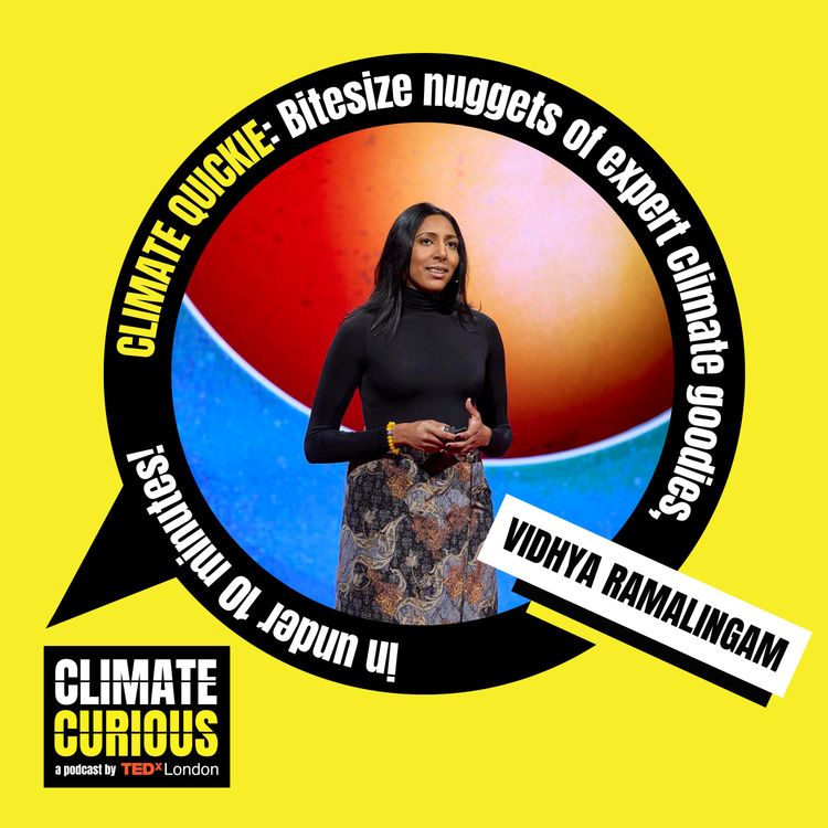 cover art for Why a violence prevention pro is turning her attention to climate misinformation 