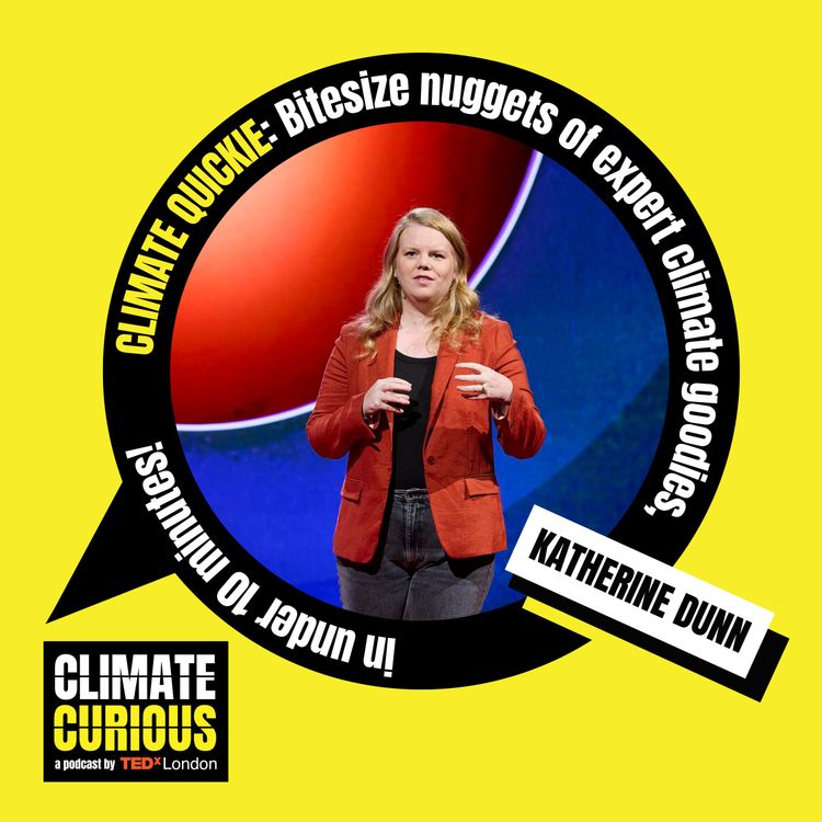 cover art for Upskilling newsrooms to tell the story of climate change