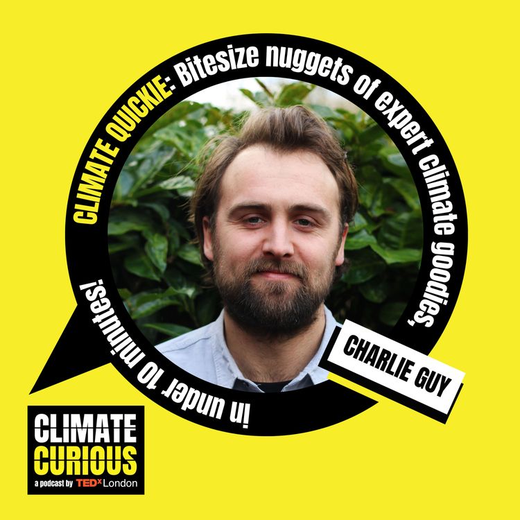 cover art for How communities are taking control of local food production using aeroponics