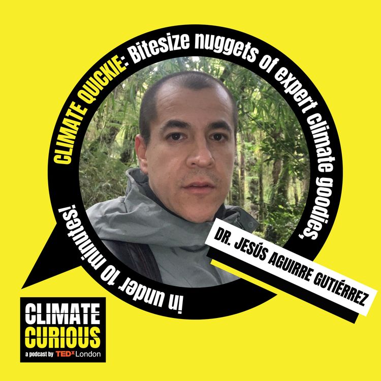 cover art for How satellites spy on rainforests, for good