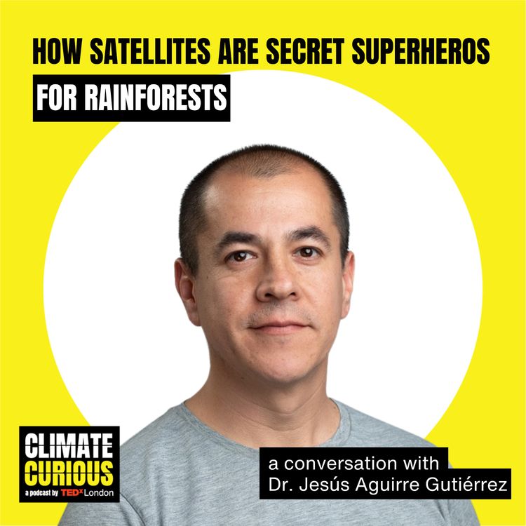 cover art for How satellites are secret superheroes for rainforests
