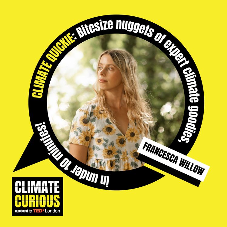 cover art for Why time’s up for pollution promoters