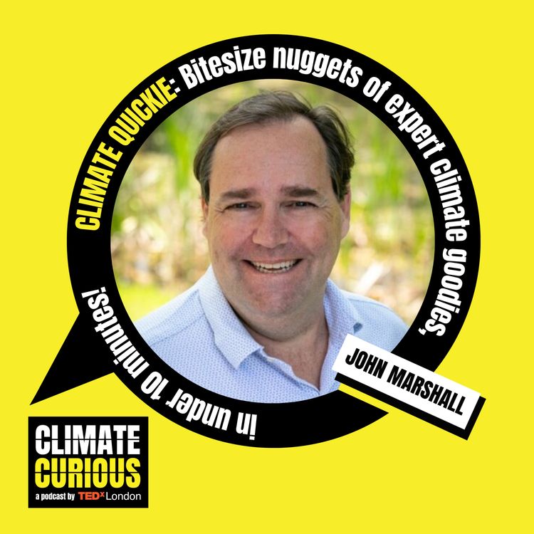 cover art for How climate crashed the Super Bowl