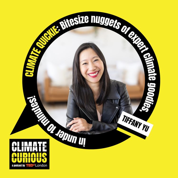 cover art for How the LA fires brought disability justice to light