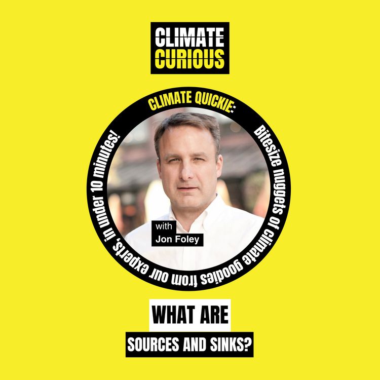 cover art for What are sources and sinks?