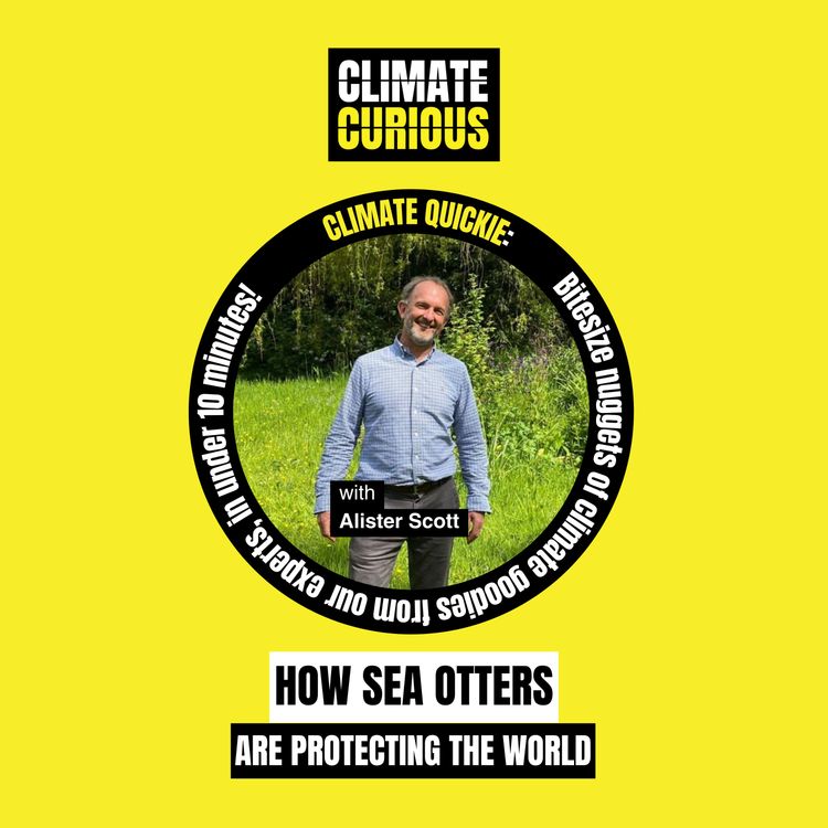 cover art for How sea otters are protecting the world